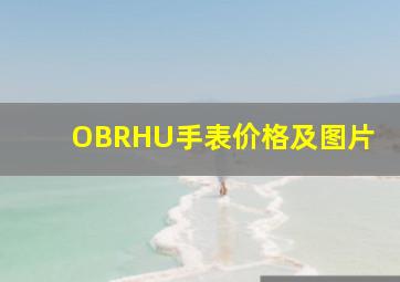 OBRHU手表价格及图片