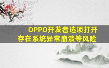 OPPO开发者选项打开存在系统异常崩溃等风险