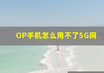 OP手机怎么用不了5G网