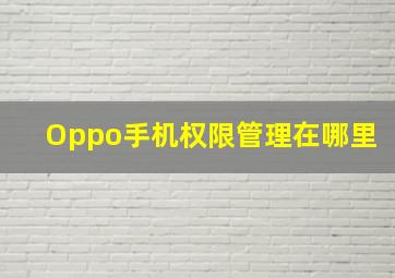 Oppo手机权限管理在哪里