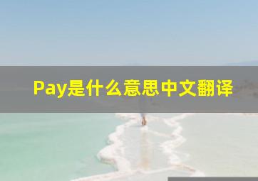 Pay是什么意思中文翻译