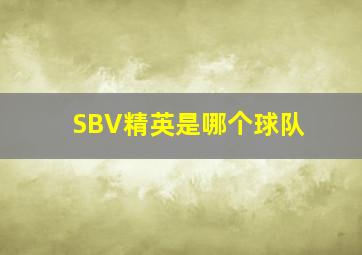 SBV精英是哪个球队