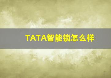 TATA智能锁怎么样