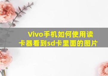 Vivo手机如何使用读卡器看到sd卡里面的图片