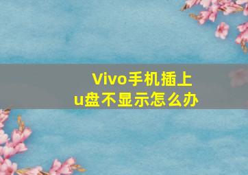 Vivo手机插上u盘不显示怎么办