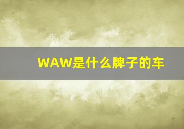 WAW是什么牌子的车