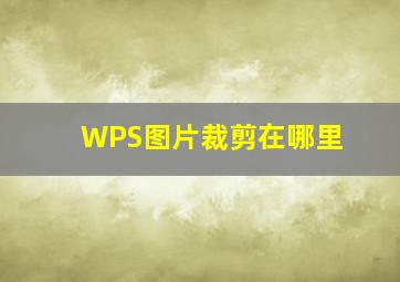 WPS图片裁剪在哪里