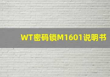 WT密码锁M1601说明书