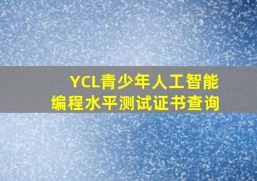 YCL青少年人工智能编程水平测试证书查询