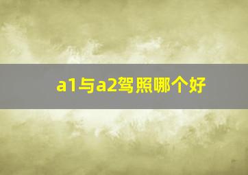 a1与a2驾照哪个好