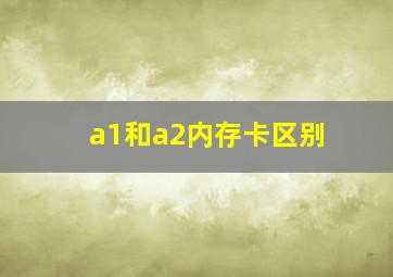 a1和a2内存卡区别