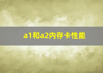 a1和a2内存卡性能