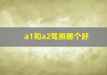 a1和a2驾照哪个好