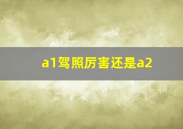 a1驾照厉害还是a2