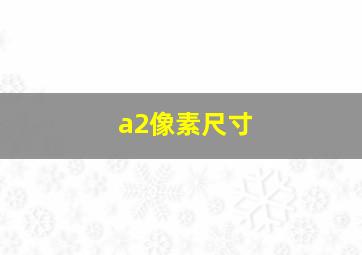 a2像素尺寸