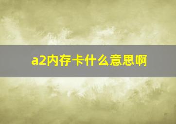 a2内存卡什么意思啊