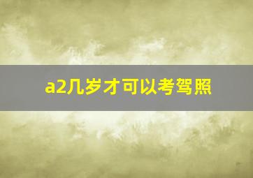 a2几岁才可以考驾照