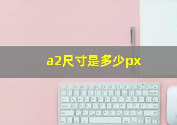 a2尺寸是多少px