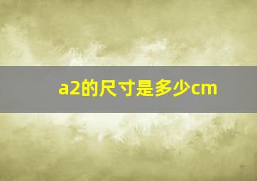 a2的尺寸是多少cm