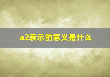 a2表示的意义是什么