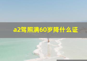 a2驾照满60岁降什么证