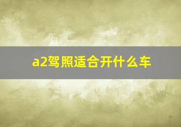 a2驾照适合开什么车