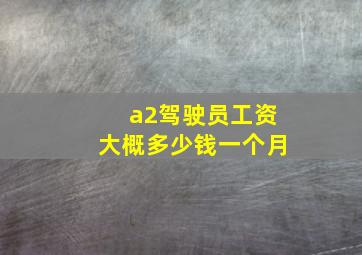 a2驾驶员工资大概多少钱一个月