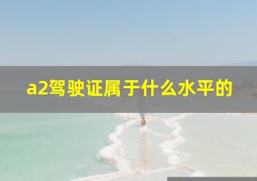 a2驾驶证属于什么水平的