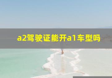 a2驾驶证能开a1车型吗