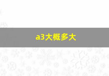 a3大概多大