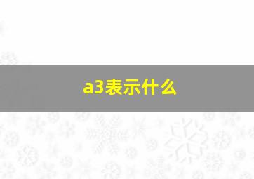 a3表示什么