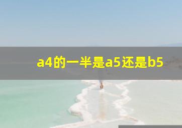 a4的一半是a5还是b5