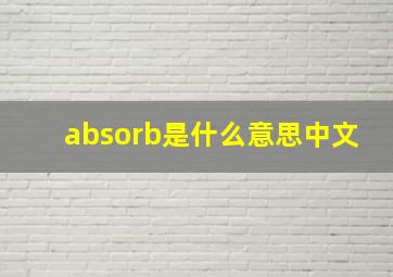 absorb是什么意思中文