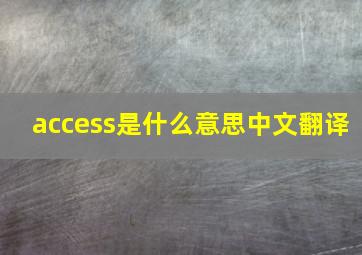 access是什么意思中文翻译