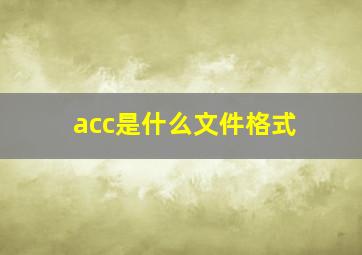 acc是什么文件格式