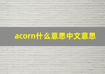 acorn什么意思中文意思