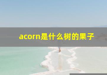 acorn是什么树的果子