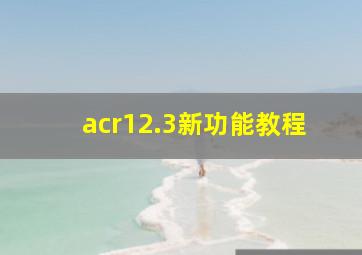 acr12.3新功能教程