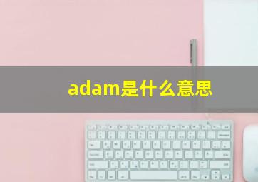 adam是什么意思