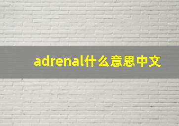 adrenal什么意思中文