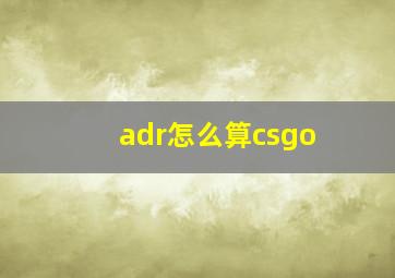 adr怎么算csgo