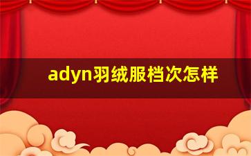 adyn羽绒服档次怎样