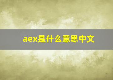 aex是什么意思中文