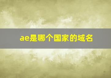 ae是哪个国家的域名