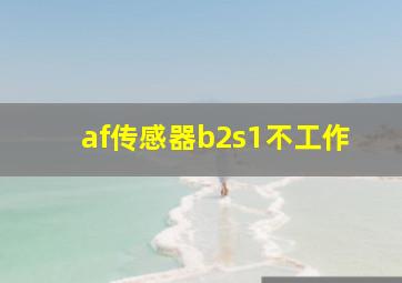 af传感器b2s1不工作