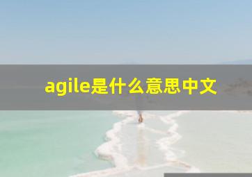 agile是什么意思中文