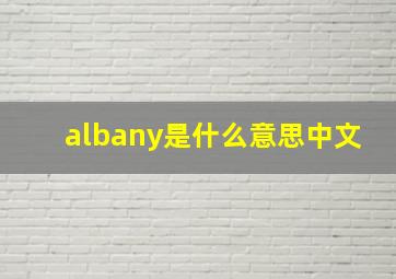 albany是什么意思中文