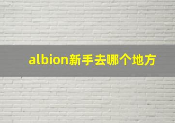 albion新手去哪个地方