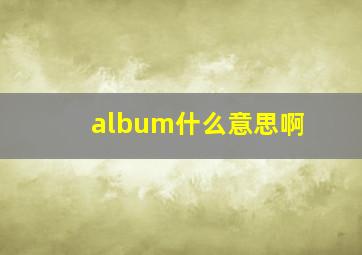 album什么意思啊