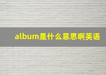 album是什么意思啊英语